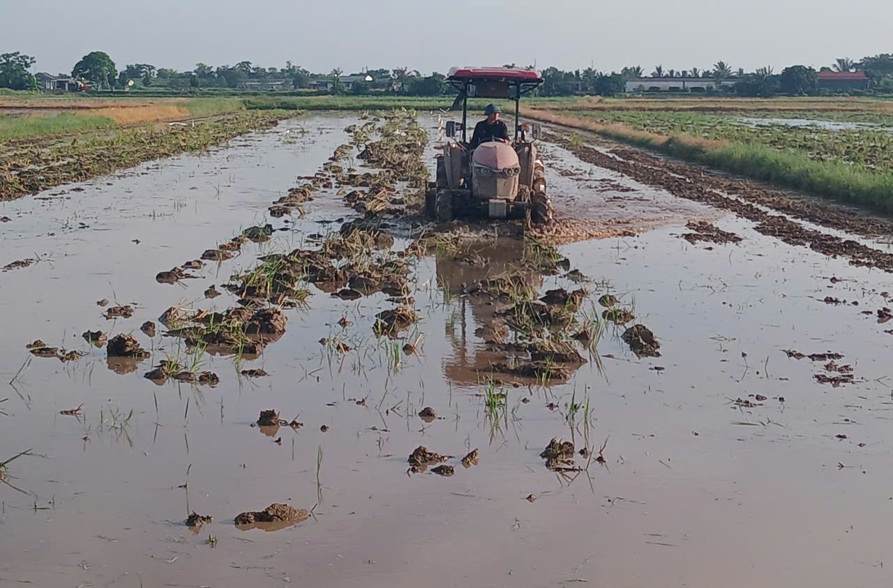 Ngọc Lâm sẵn sàng trong sản xuất vụ mùa