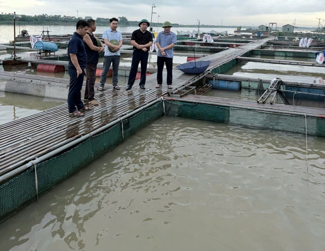 Chủ tịch Hội Nông dân tỉnh Hưng Yên thăm mô hình nuôi cá lồng tại xã Ngọc Lâm