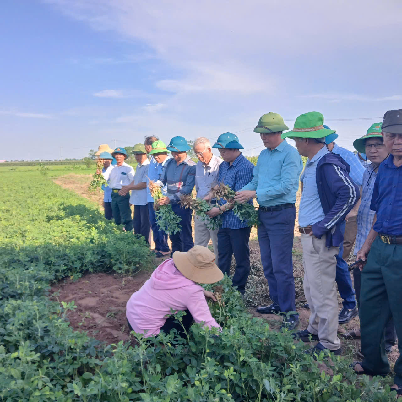 Hợp tác xã dịch vụ nông nghiệp Quỳnh Lâm tổ chức hội nghị, hội thảo đầu bờ mô hình lạc đỏ 3 nhân gai